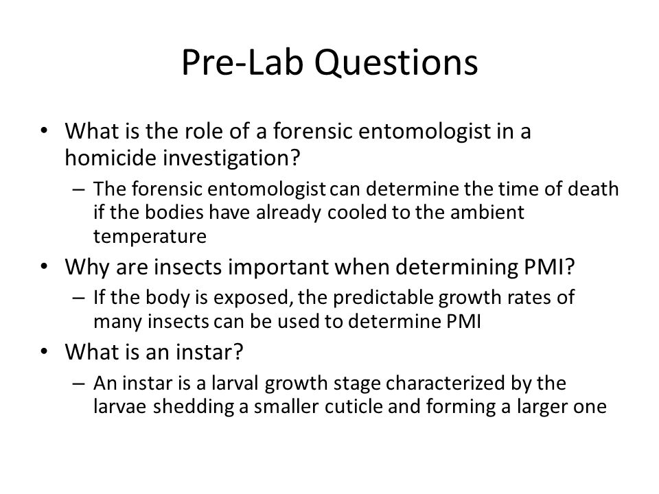 The Mystery Of Lyle And Louise A Forensic Entomology Lab Ppt