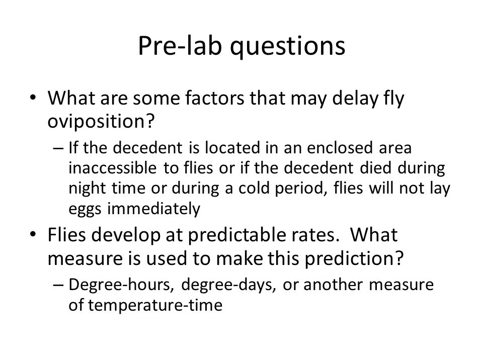 The Mystery Of Lyle And Louise A Forensic Entomology Lab Ppt