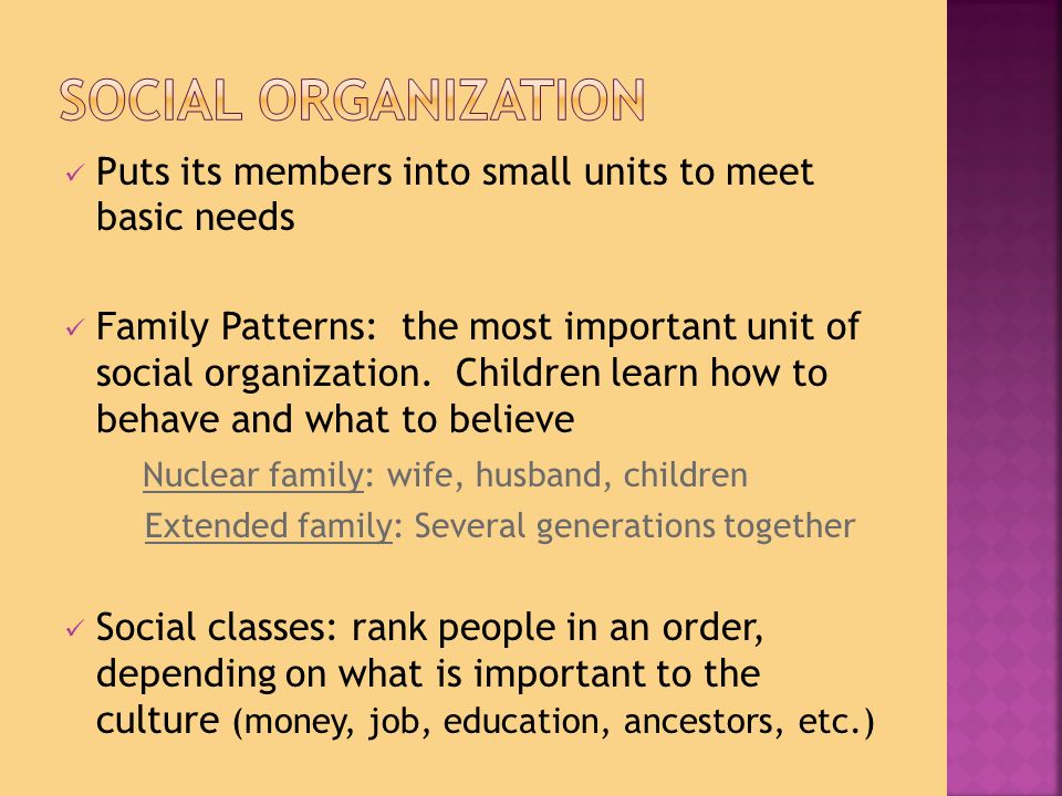 Social Organization Puts its members into small units to meet basic needs.