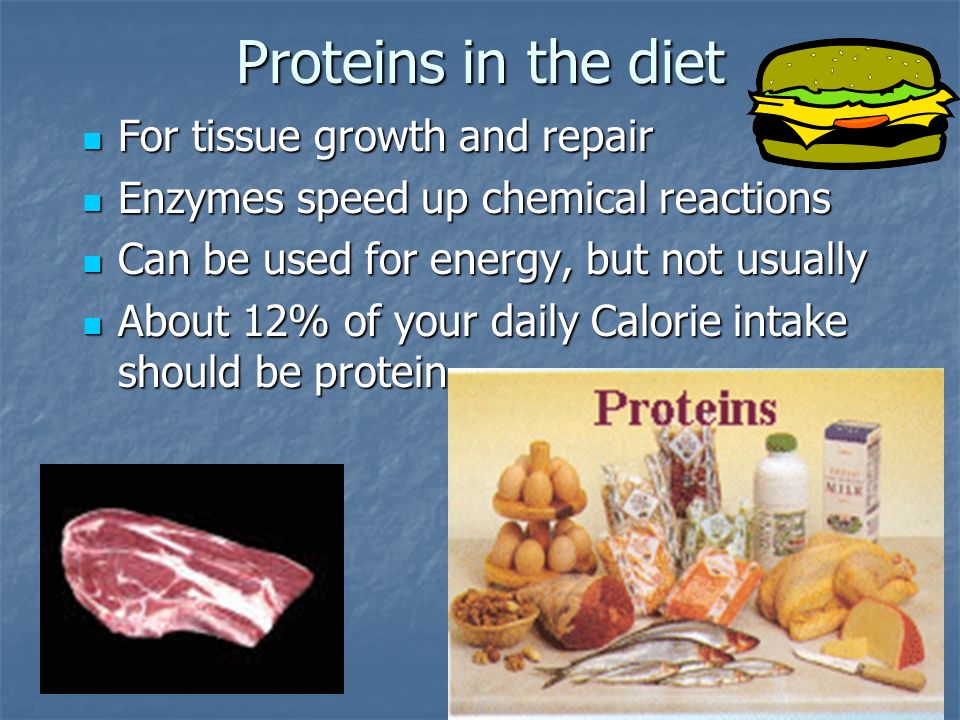 Proteins in the diet For tissue growth and repair