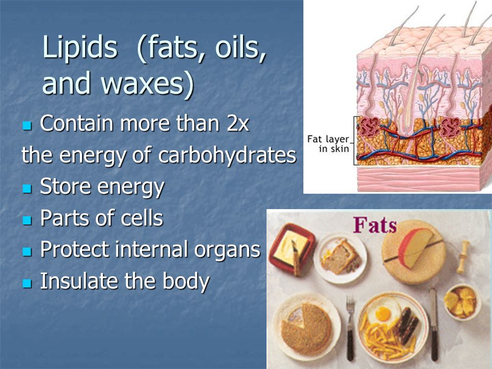 Lipids (fats, oils, and waxes)