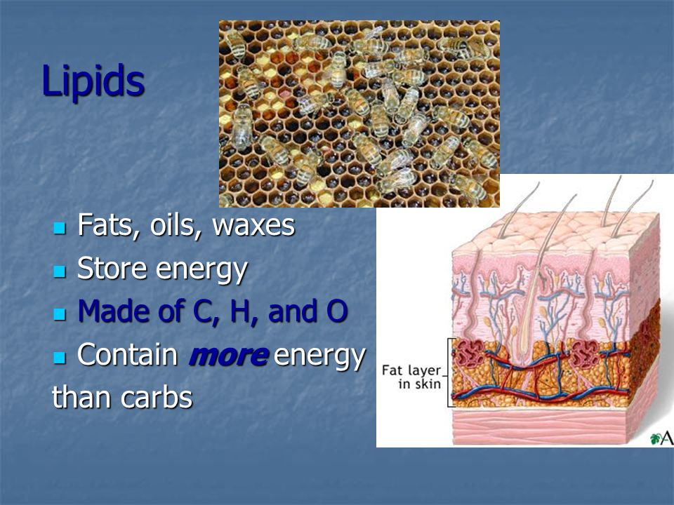 Lipids Fats, oils, waxes Store energy Made of C, H, and O