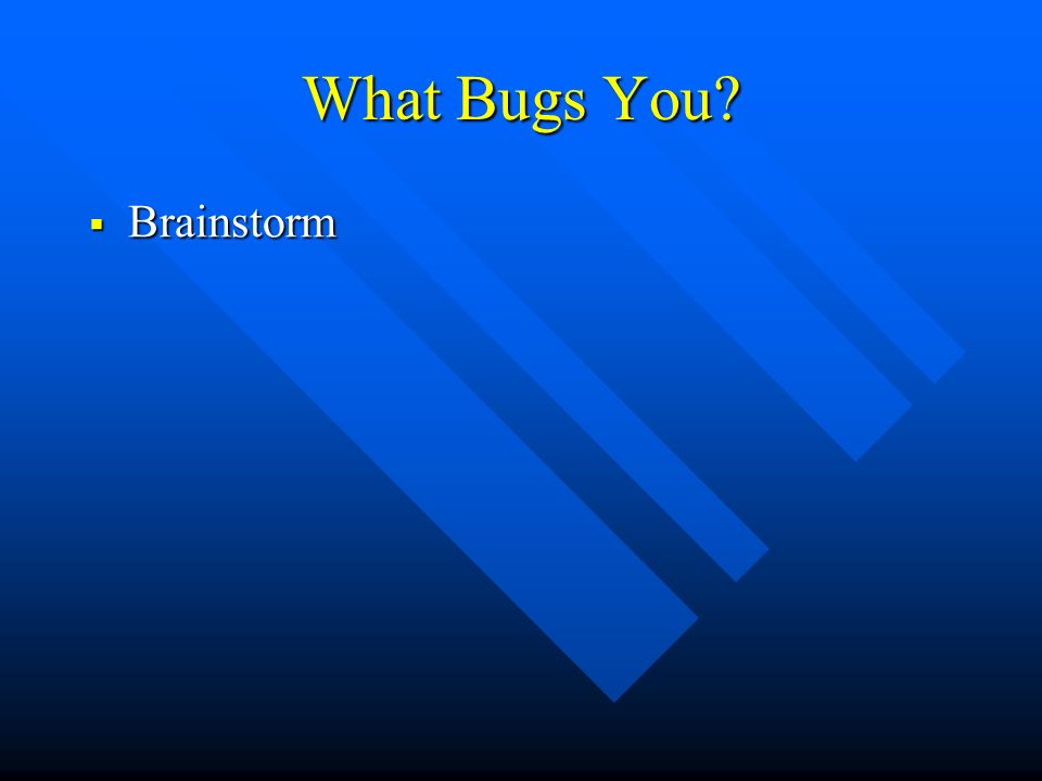 What Bugs You Brainstorm