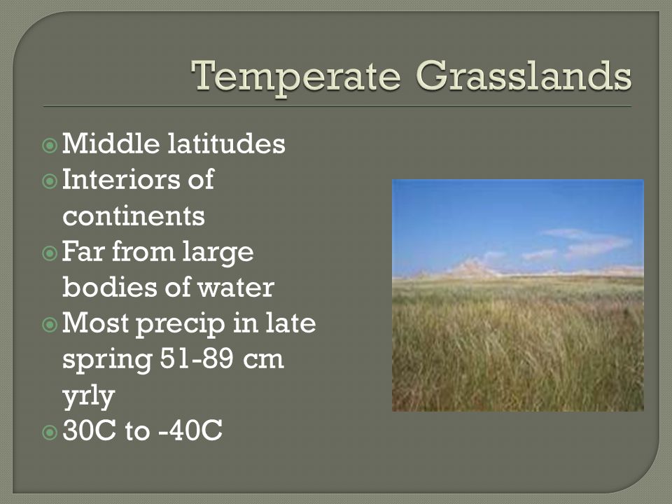 Temperate Grasslands Middle latitudes Interiors of continents