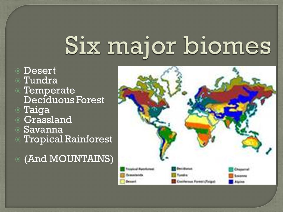 Six major biomes Desert Tundra Temperate Deciduous Forest Taiga