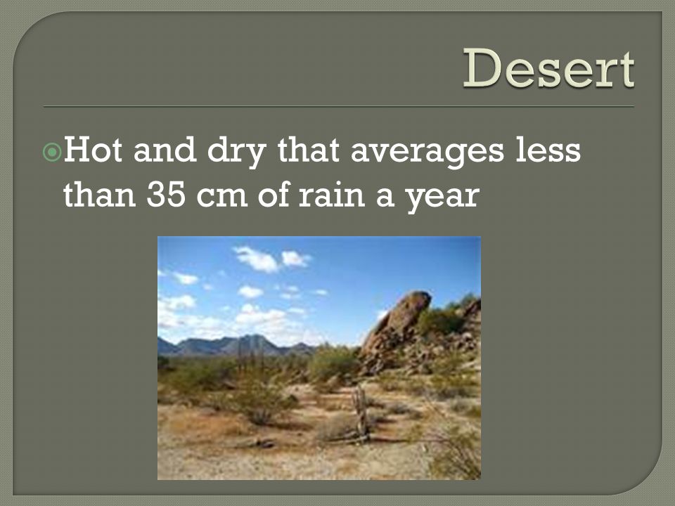 Desert Hot and dry that averages less than 35 cm of rain a year
