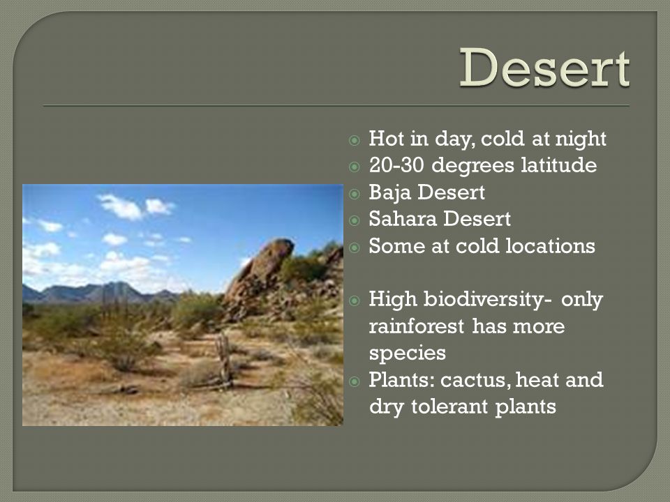 Desert Hot in day, cold at night degrees latitude Baja Desert