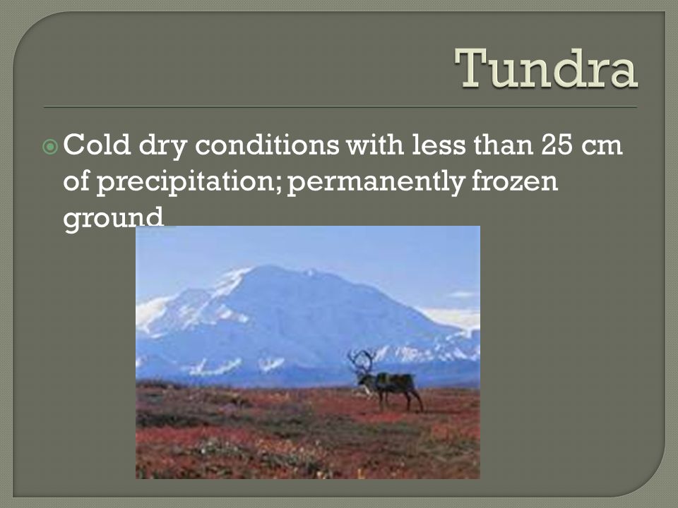 Tundra Cold dry conditions with less than 25 cm of precipitation; permanently frozen ground