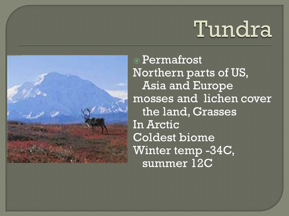 Tundra Permafrost Northern parts of US, Asia and Europe