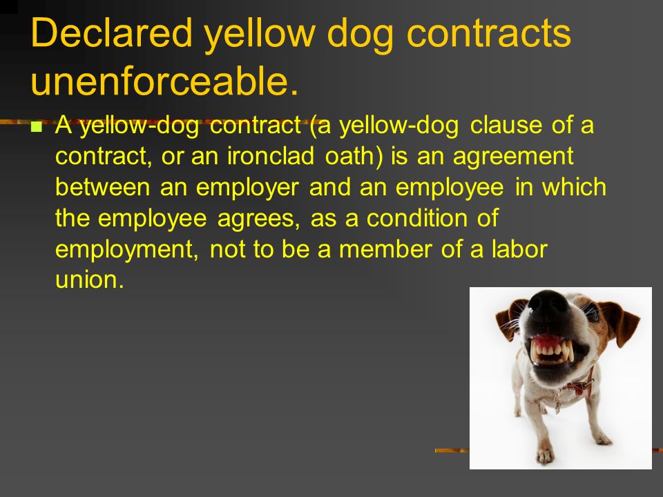 which act first held that yellow dog contracts are illegal and unenforceable