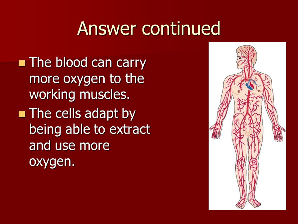 Answer continued The blood can carry more oxygen to the working muscles.