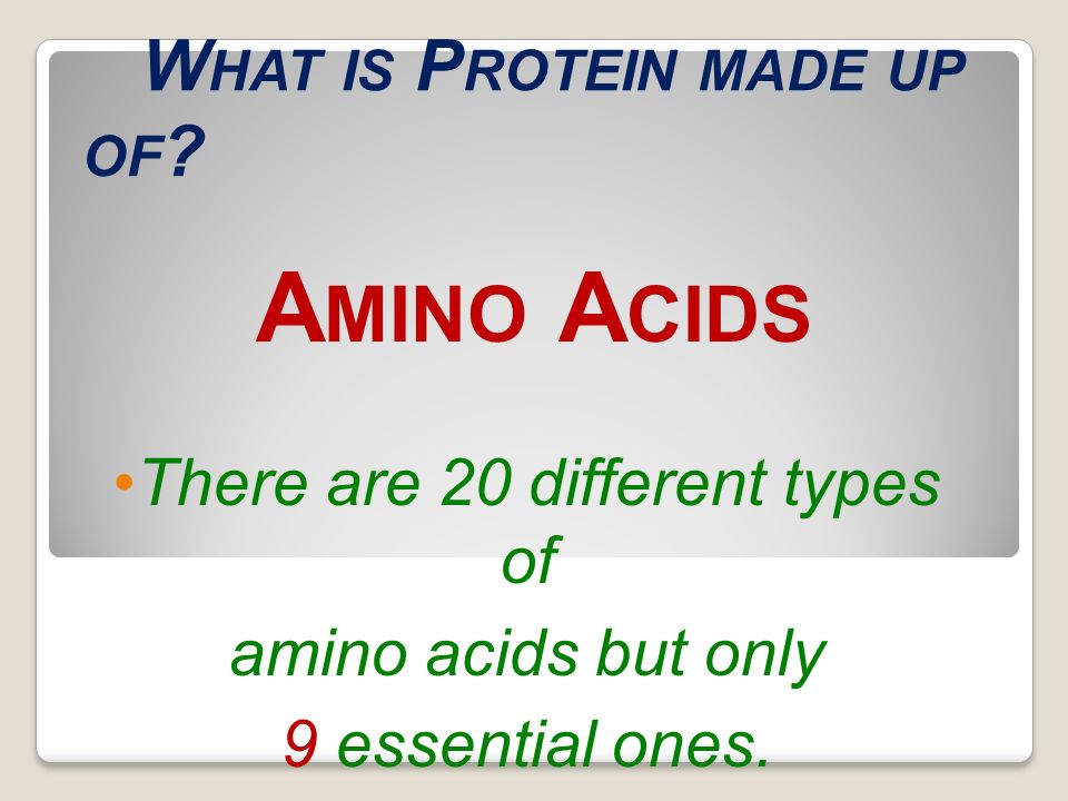 What is Protein made up of