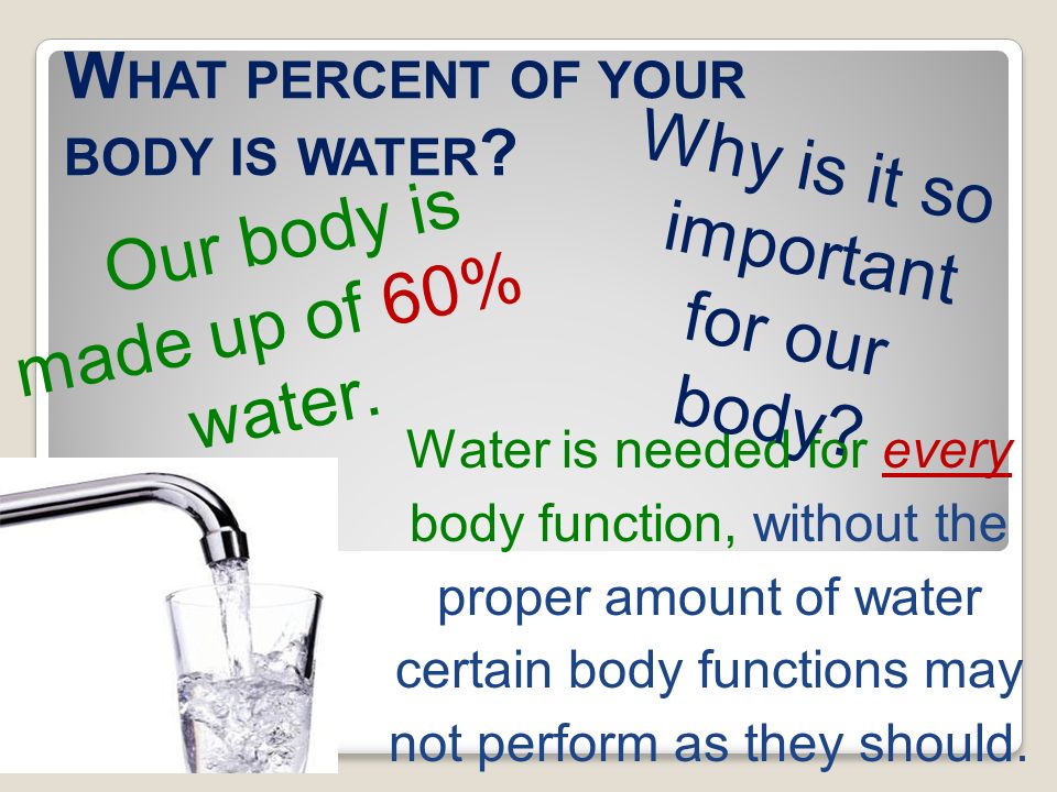 What percent of your body is water