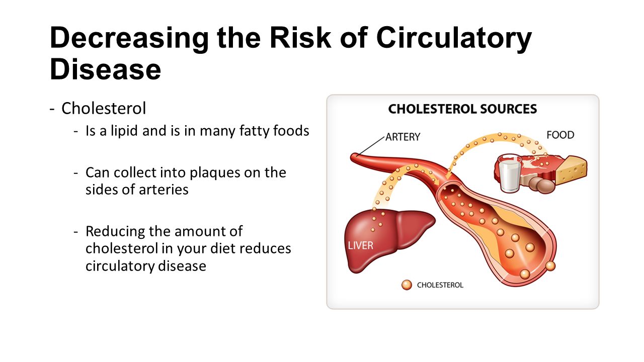 Decreasing the Risk of Circulatory Disease