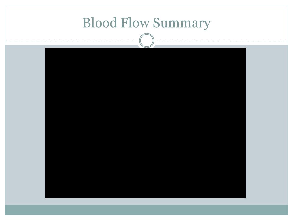 Blood Flow Summary