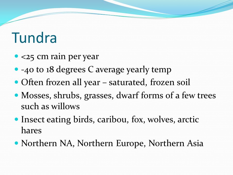 Tundra <25 cm rain per year -40 to 18 degrees C average yearly temp