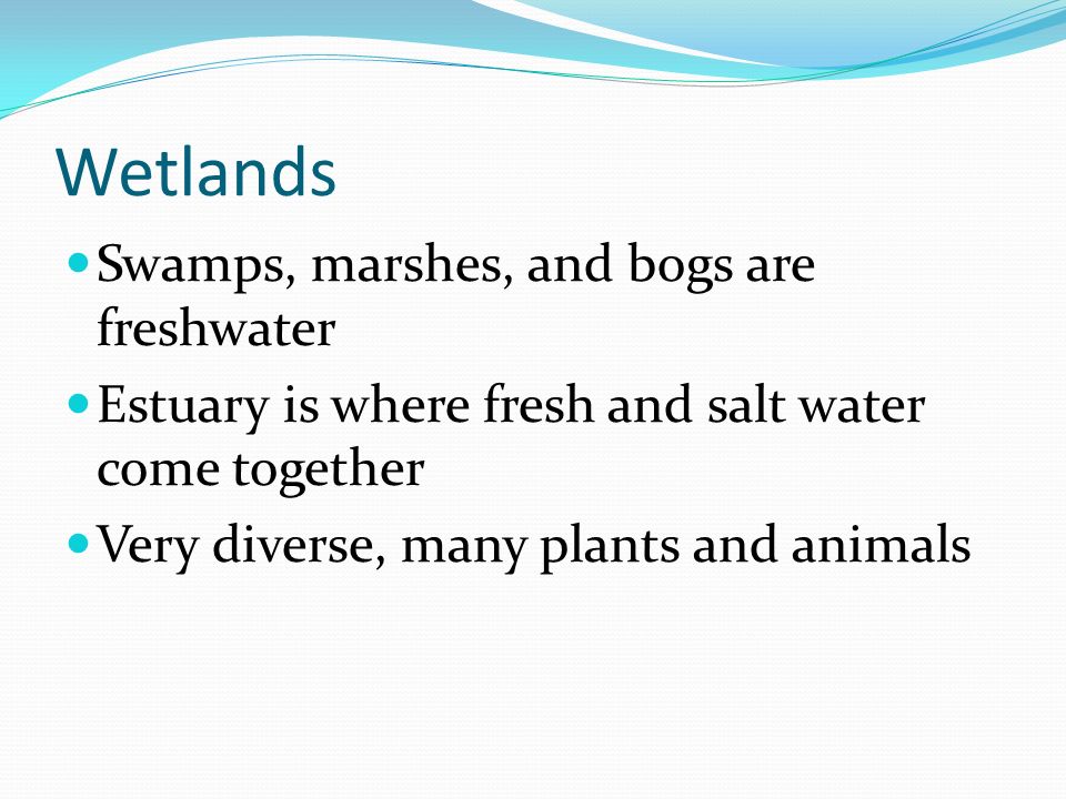 Wetlands Swamps, marshes, and bogs are freshwater