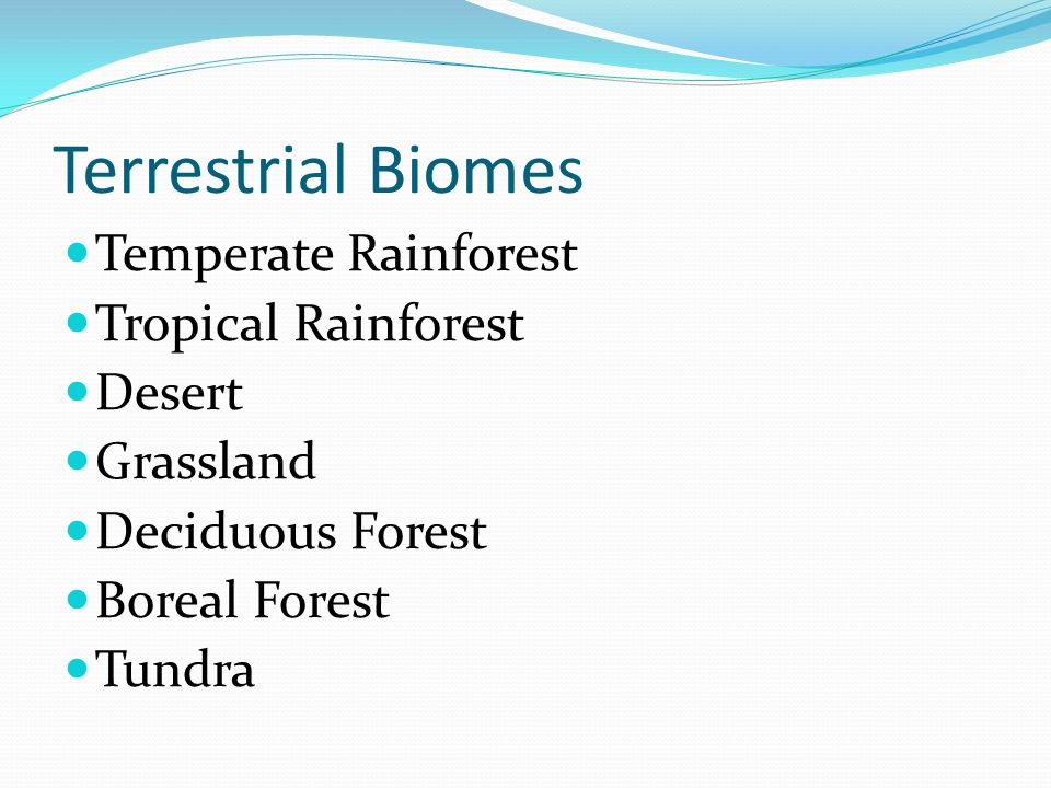 Terrestrial Biomes Temperate Rainforest Tropical Rainforest Desert