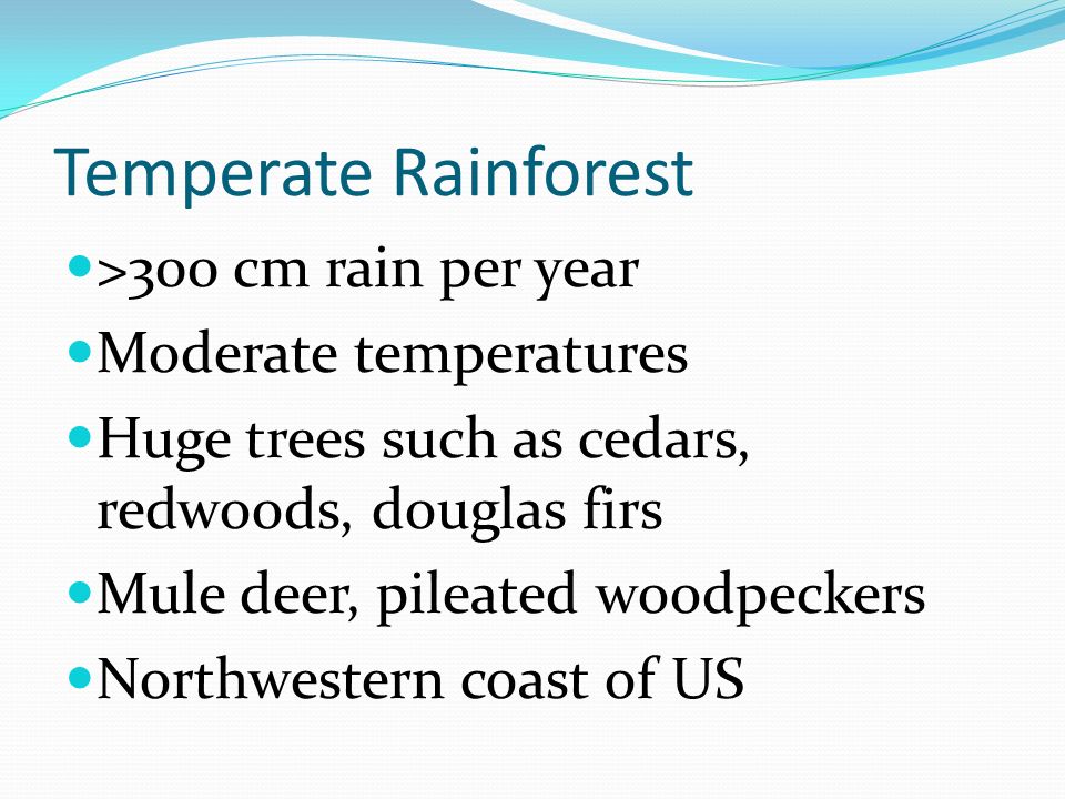Temperate Rainforest >300 cm rain per year Moderate temperatures