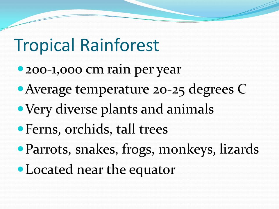 Tropical Rainforest 200-1,000 cm rain per year