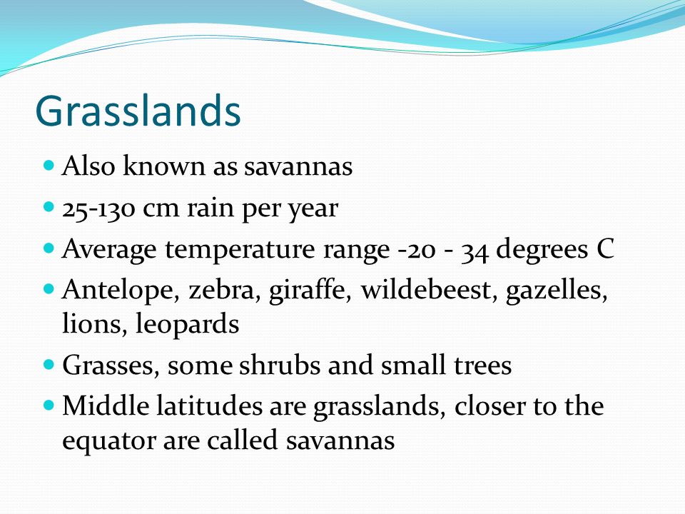 Grasslands Also known as savannas cm rain per year