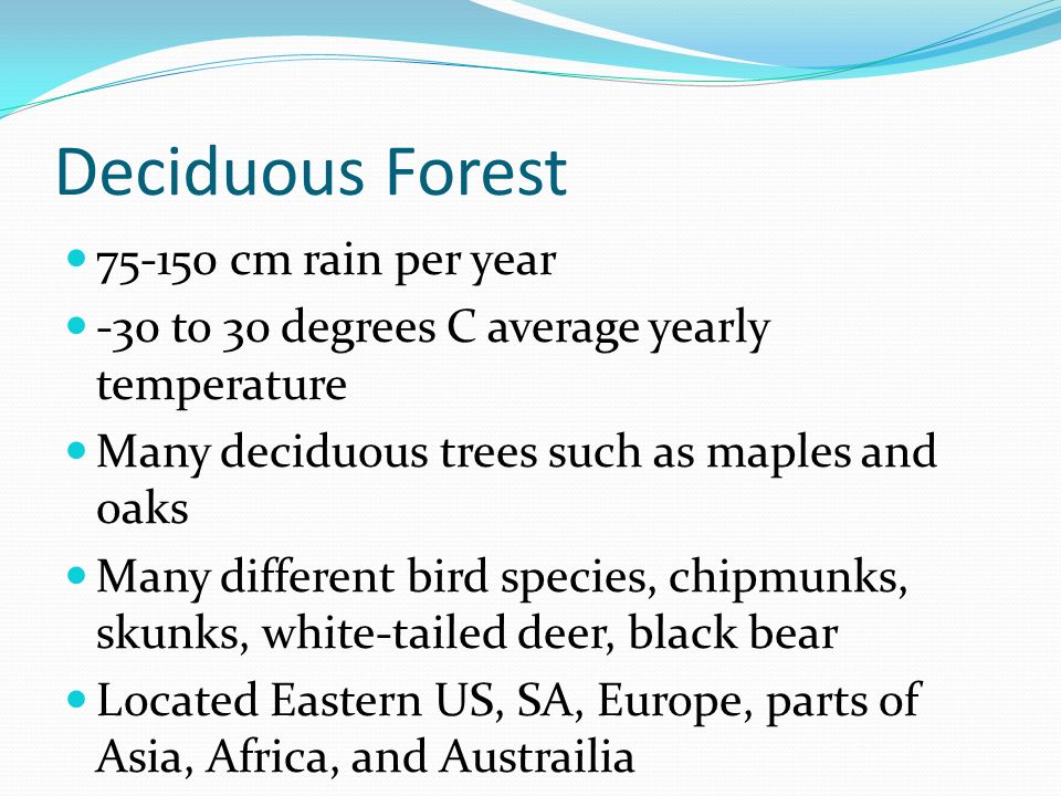 Deciduous Forest cm rain per year