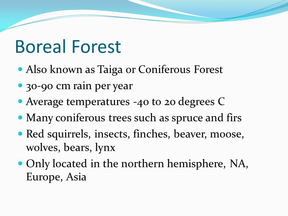 Boreal Forest Also known as Taiga or Coniferous Forest