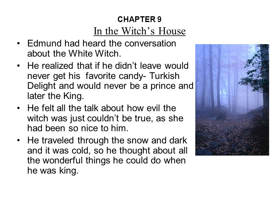 Реферат: Chapter By Chapter Of Lion Witch And