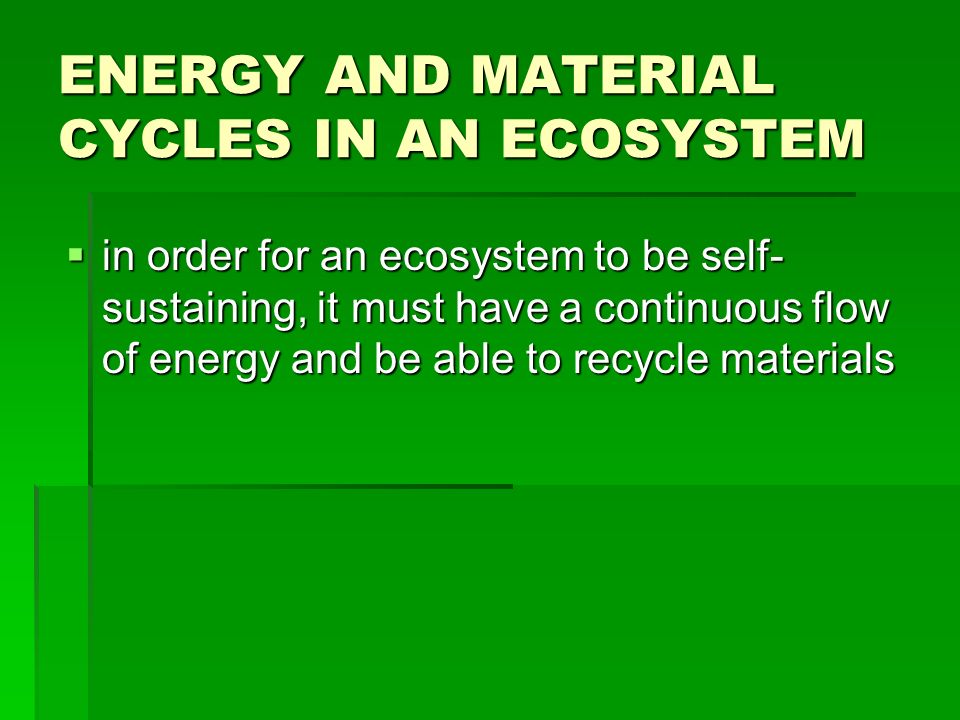 ENERGY AND MATERIAL CYCLES IN AN ECOSYSTEM