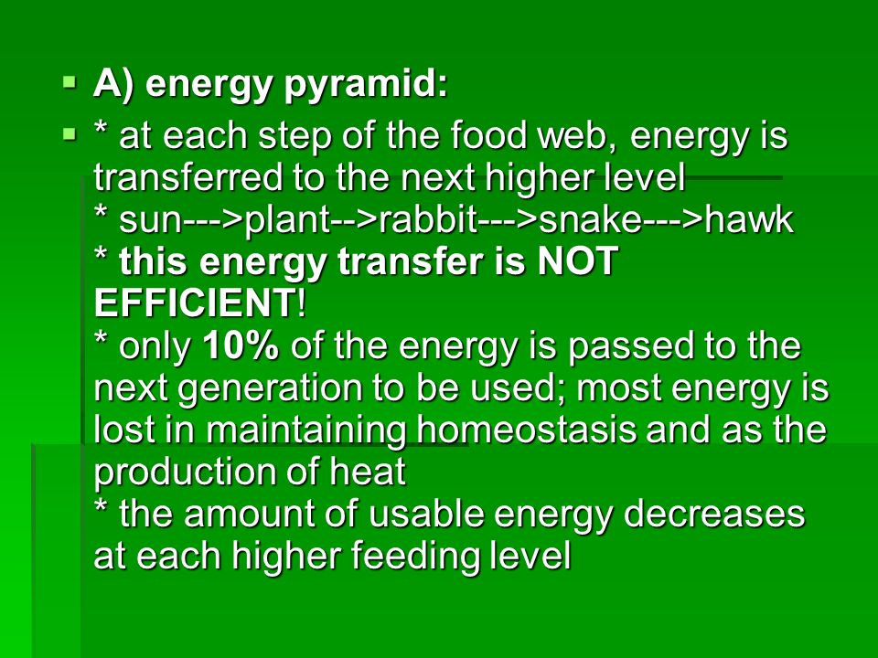 A) energy pyramid: