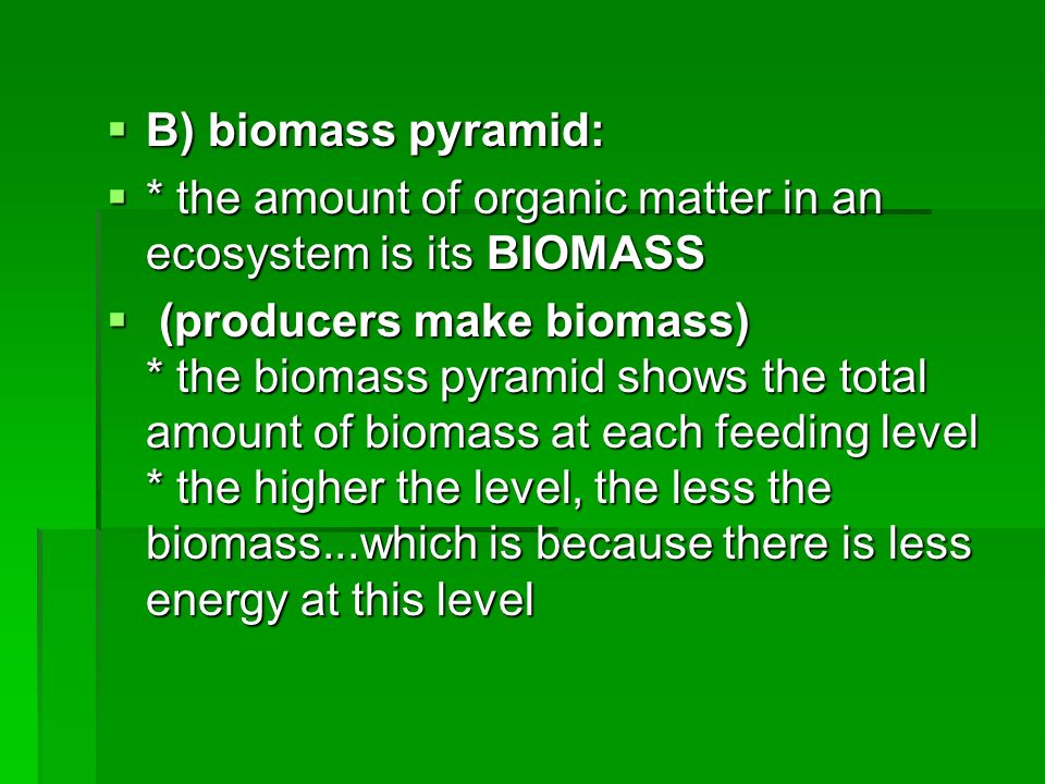B) biomass pyramid: * the amount of organic matter in an ecosystem is its BIOMASS.