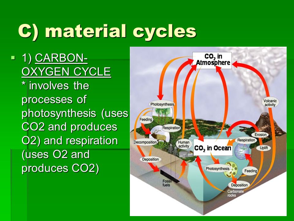 C) material cycles