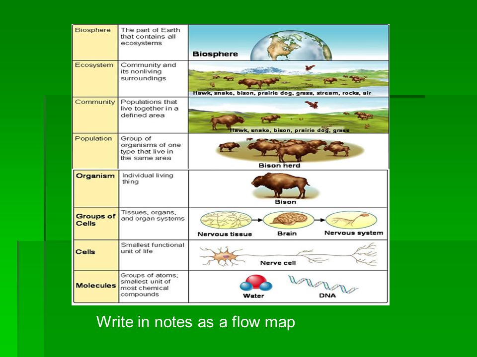 Write in notes as a flow map