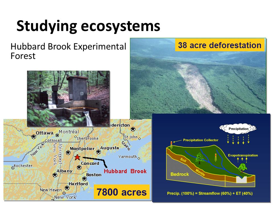Studying ecosystems Hubbard Brook Experimental Forest 7800 acres