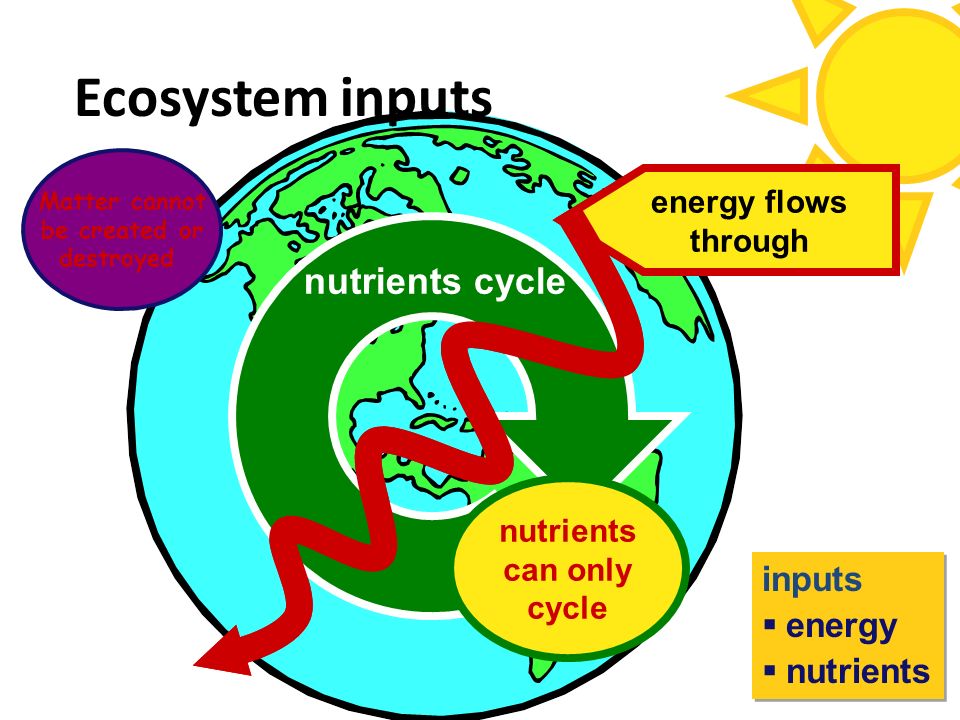 Ecosystem inputs nutrients cycle inputs energy nutrients