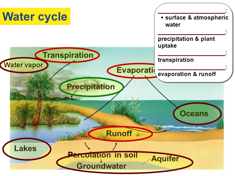Water cycle Solar energy Transpiration Evaporation Precipitation