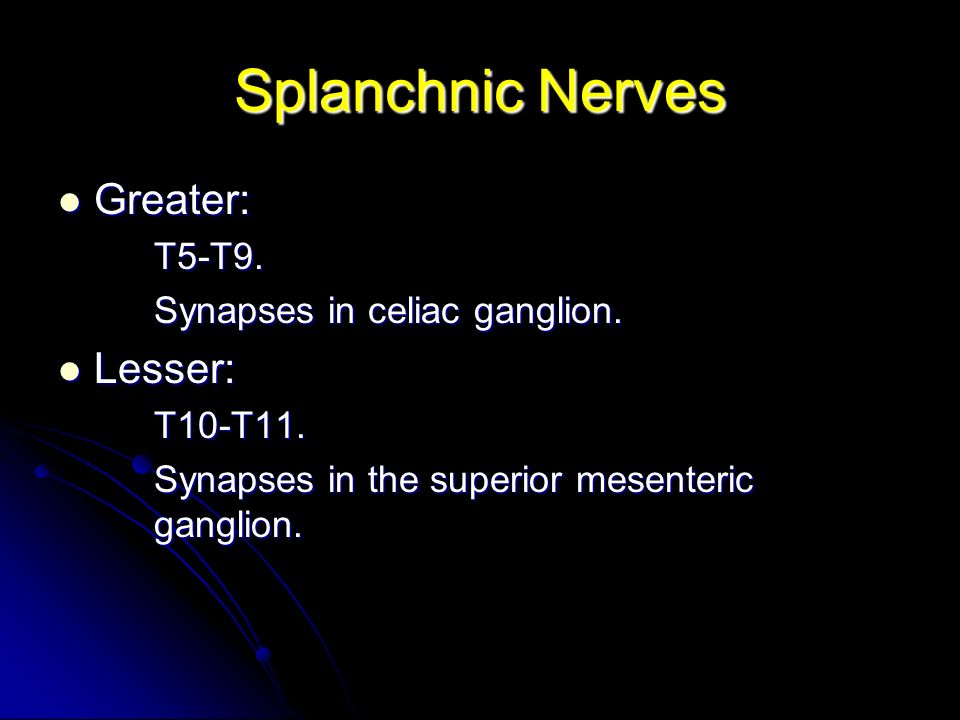 Splanchnic Nerves Greater: Lesser: T5-T9. Synapses in celiac ganglion.