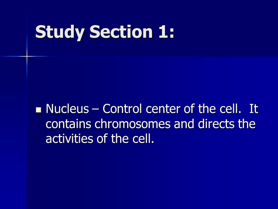 Study Section 1: Nucleus – Control center of the cell.