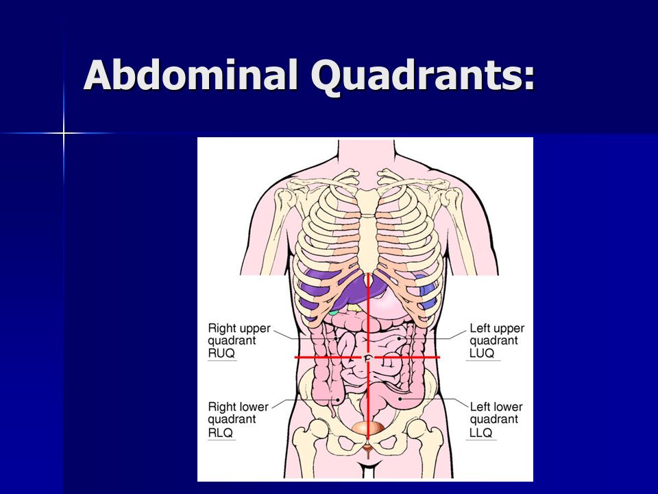 Abdominal Quadrants:
