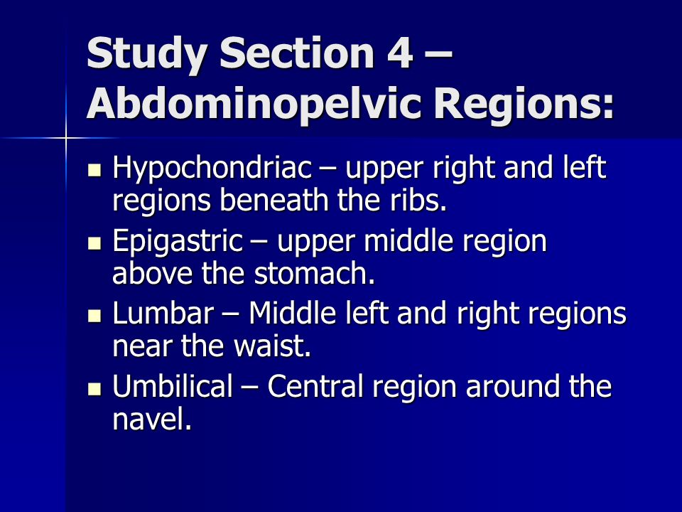 Study Section 4 – Abdominopelvic Regions:
