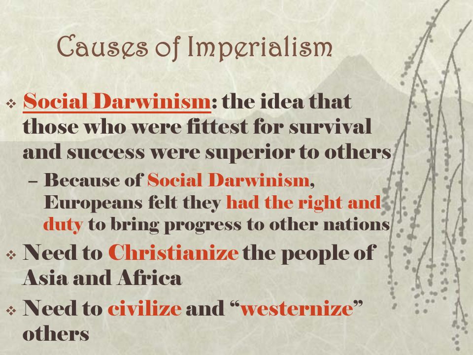 social causes of imperialism