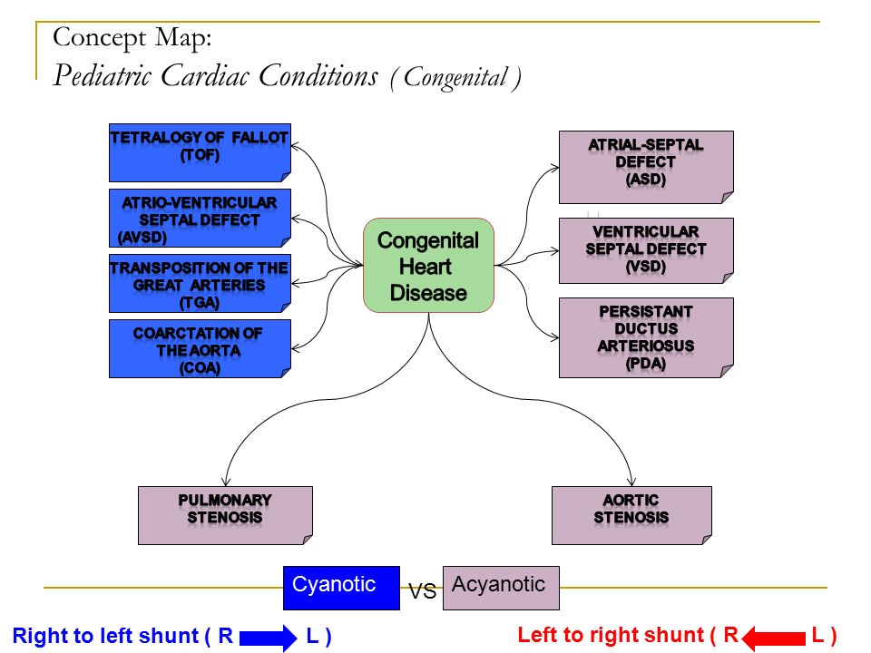 Congestive Heart Failure Concept Map Map Of Western Hemisphere
