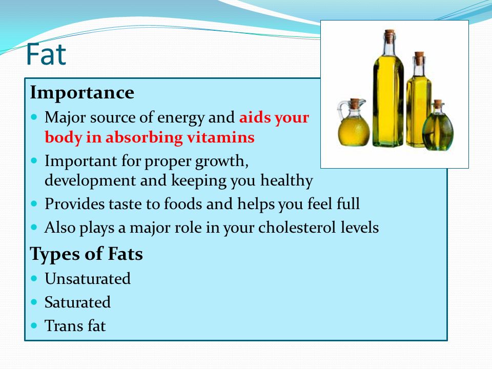 Fat Importance Types of Fats