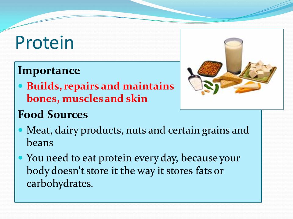 Protein Importance Food Sources