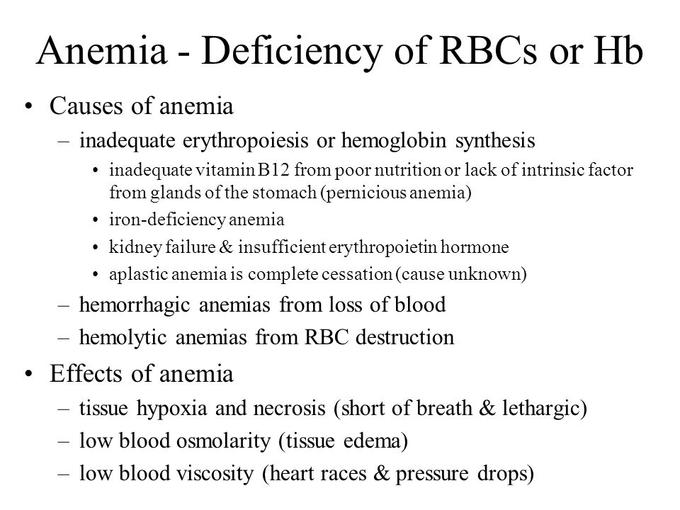 Chapter 18 The Circulatory System Blood Ppt Video Online Download