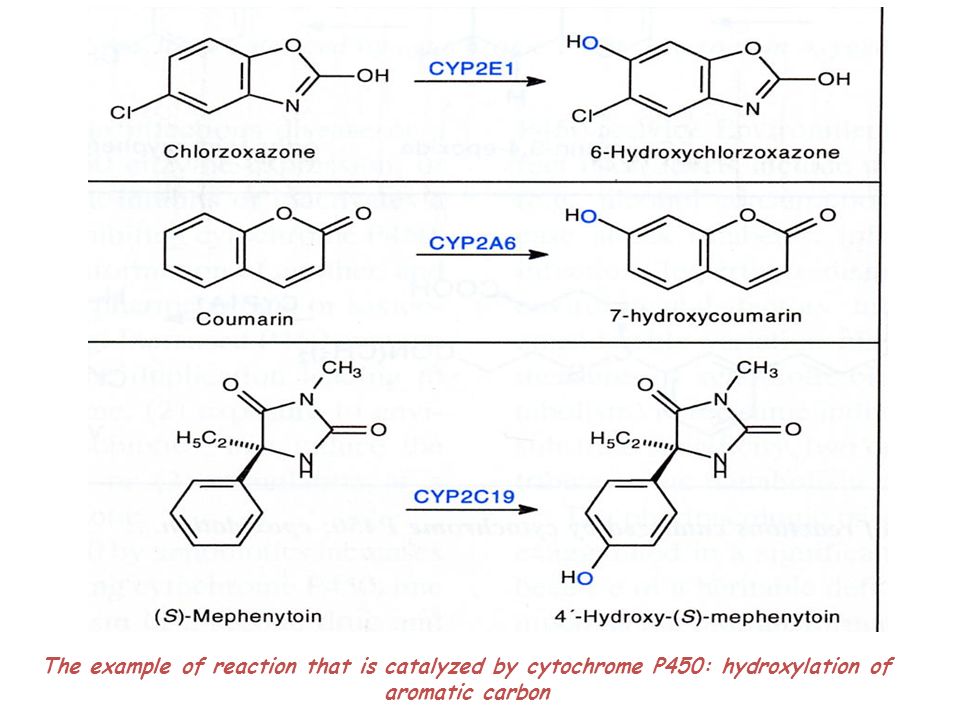 The example of reaction that is catalyzed by cytochrome P450: hydroxylation of aromatic carbon