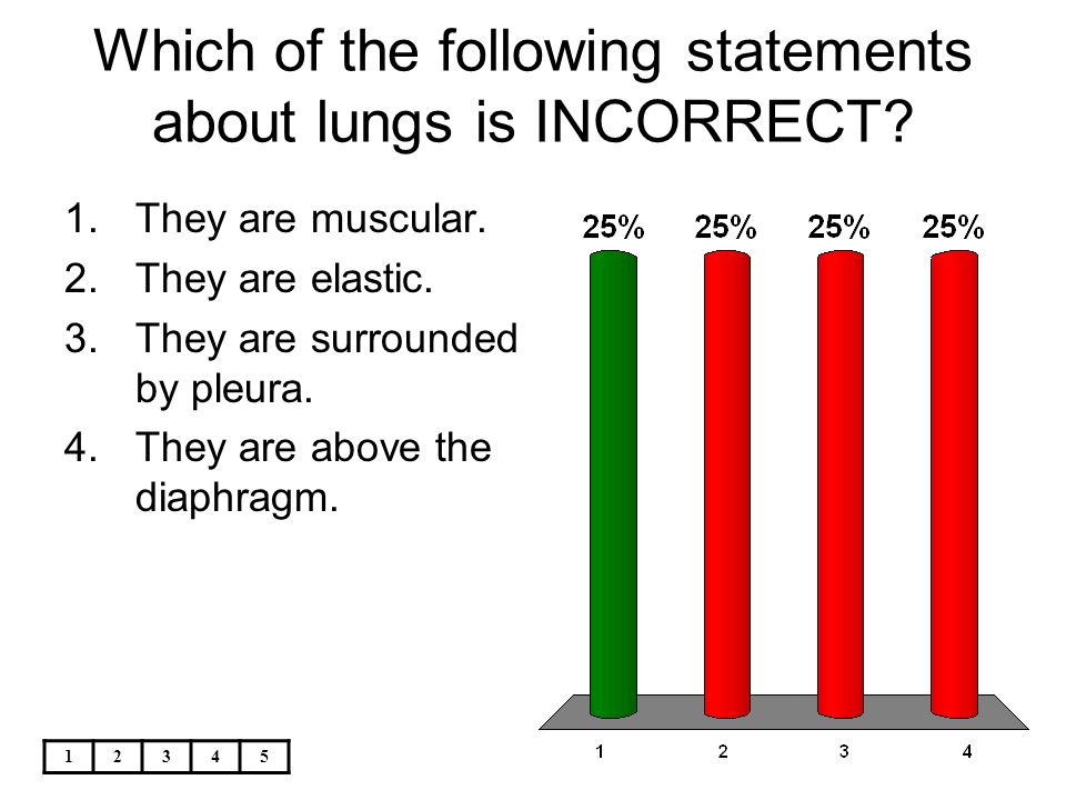 Which Body System Acts In A Way Similar To A Transportation System Ppt Video Online Download