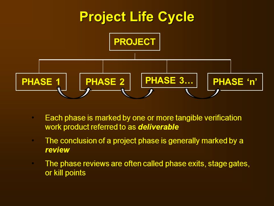 Project Life Cycle PROJECT PHASE 1 PHASE 2 PHASE 3… PHASE ‘n’