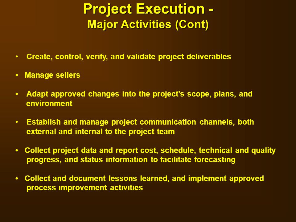 Project Execution - Major Activities (Cont)