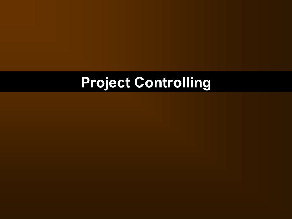 Project Controlling 49 49